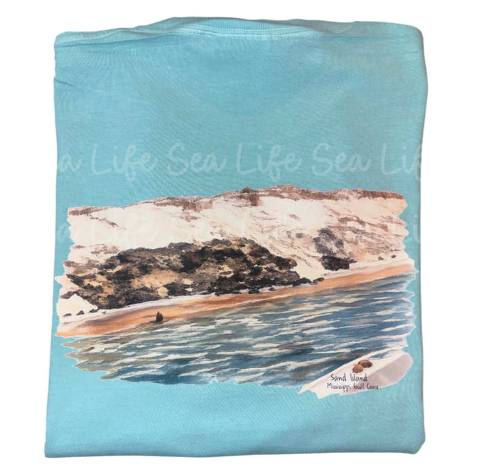 Sand Island- MS Gulf Coast